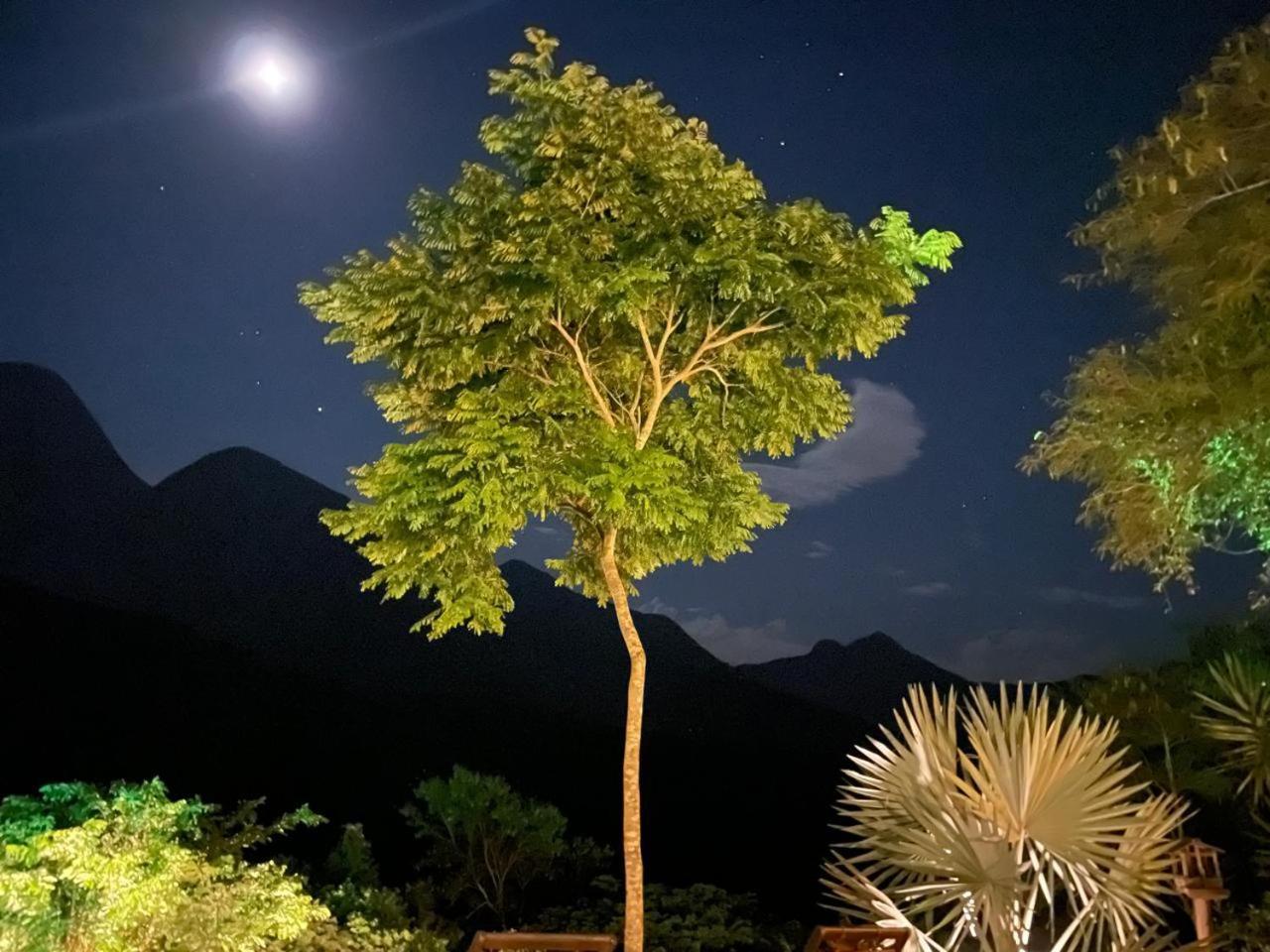 O Chale Mais Bucolico De Araras. Vista Linda Dış mekan fotoğraf